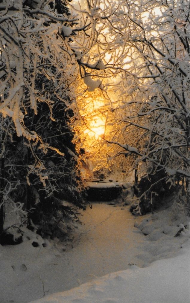 Unohtumaton hetki Jyrkänkosken kanavalla jouluna 2000. Nämä joulunalushetket niittasivat sielunmaisemani ehkä lopullisesti tähän miljööseen. Vaikka olen maailman äärissä, palaa mieli tähän maisemaan yhä uudelleen. Vaelsin Jyrkänkosken miljöössä järjestelmäkamerani kanssa koko päivän, ja sain ison setin käsittämättömän hienoja tunnelmakuvia, lähes talviparatiisimaisesta miljööstä. Kuva Copyright Valma Lämsä.
